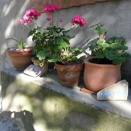 Ceps Cottage Sleeps 6 With Free Wifi Near The River Roquebrun Exterior photo