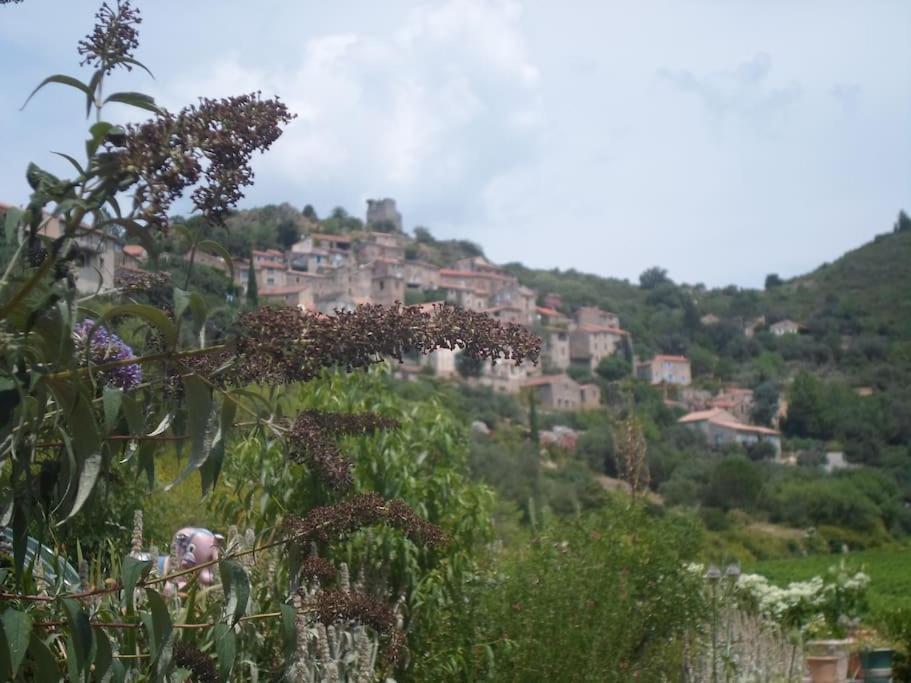Ceps Sleeps 6 With Free Wifi Near The River Holiday home Roquebrun