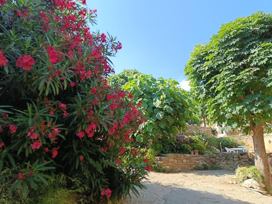 Ceps Sleeps 6 With Free Wifi Near The River *
